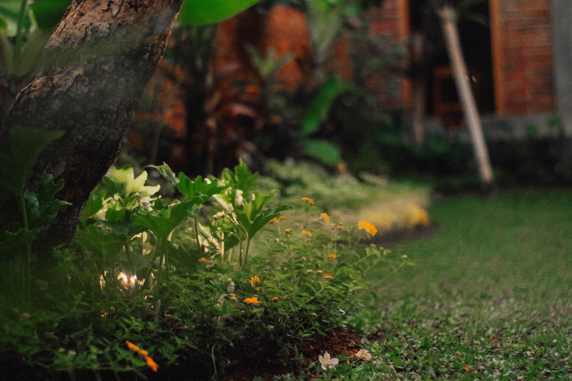 The Govardhan Homestay Canggu Eksteriør billede